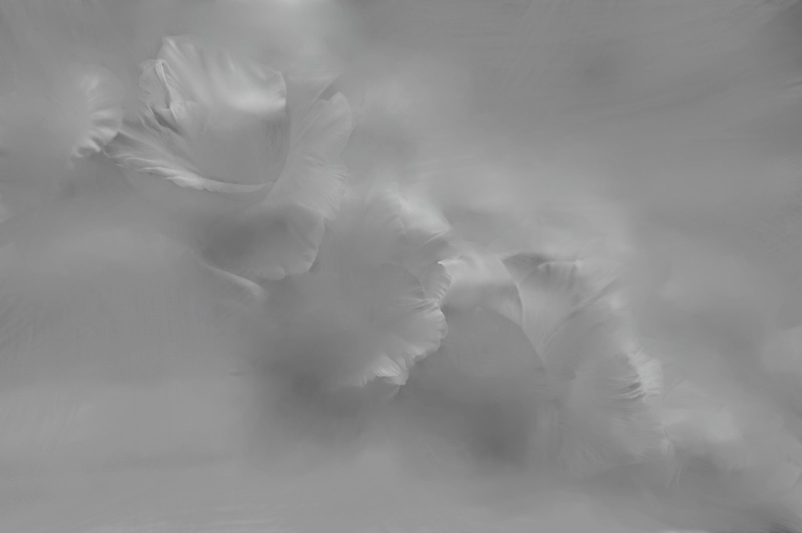 Voyage