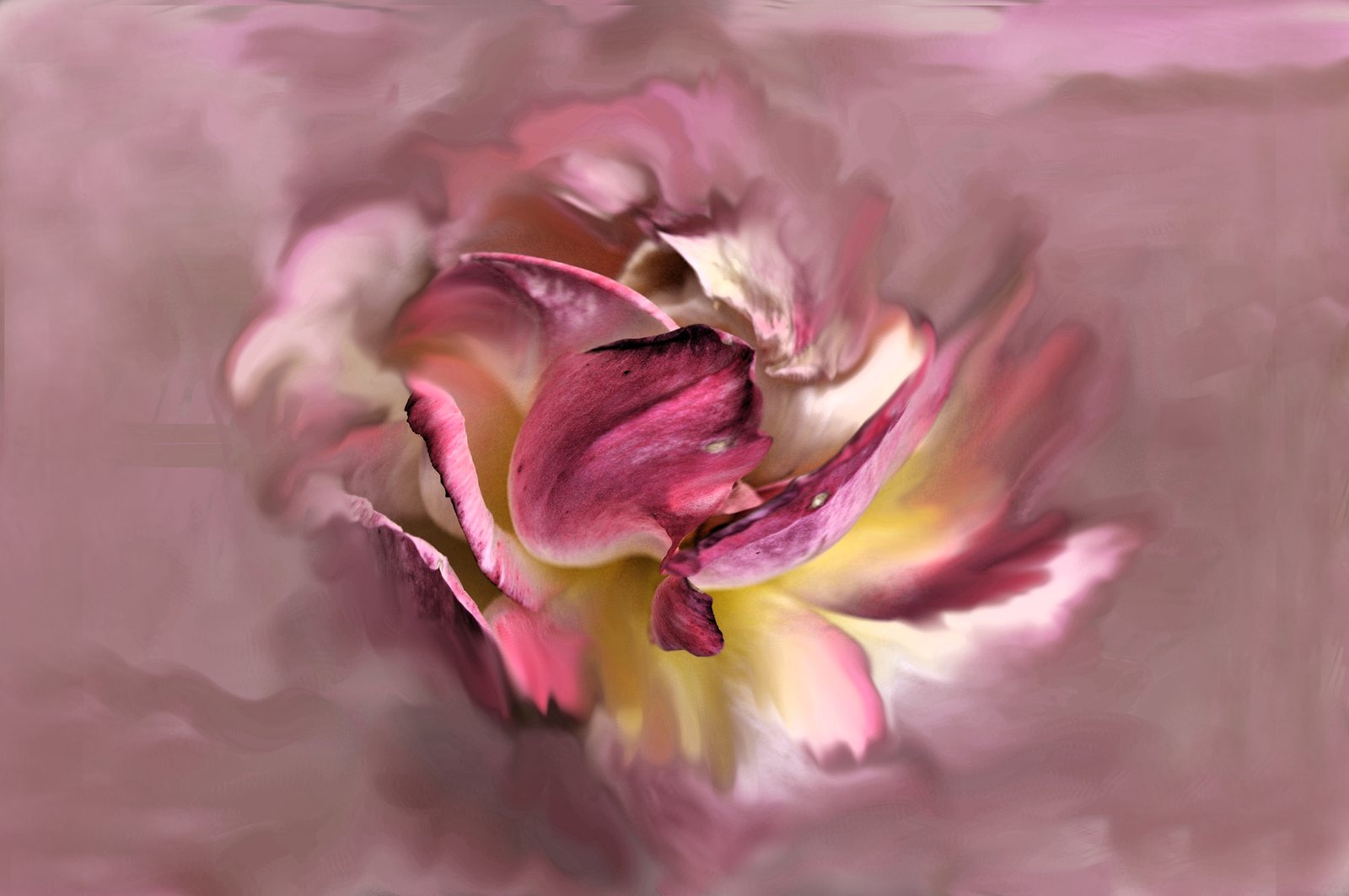 Secret Flower
