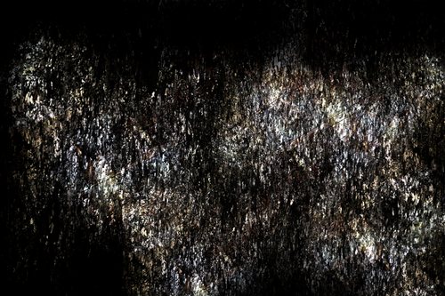 Emergence Of The Form