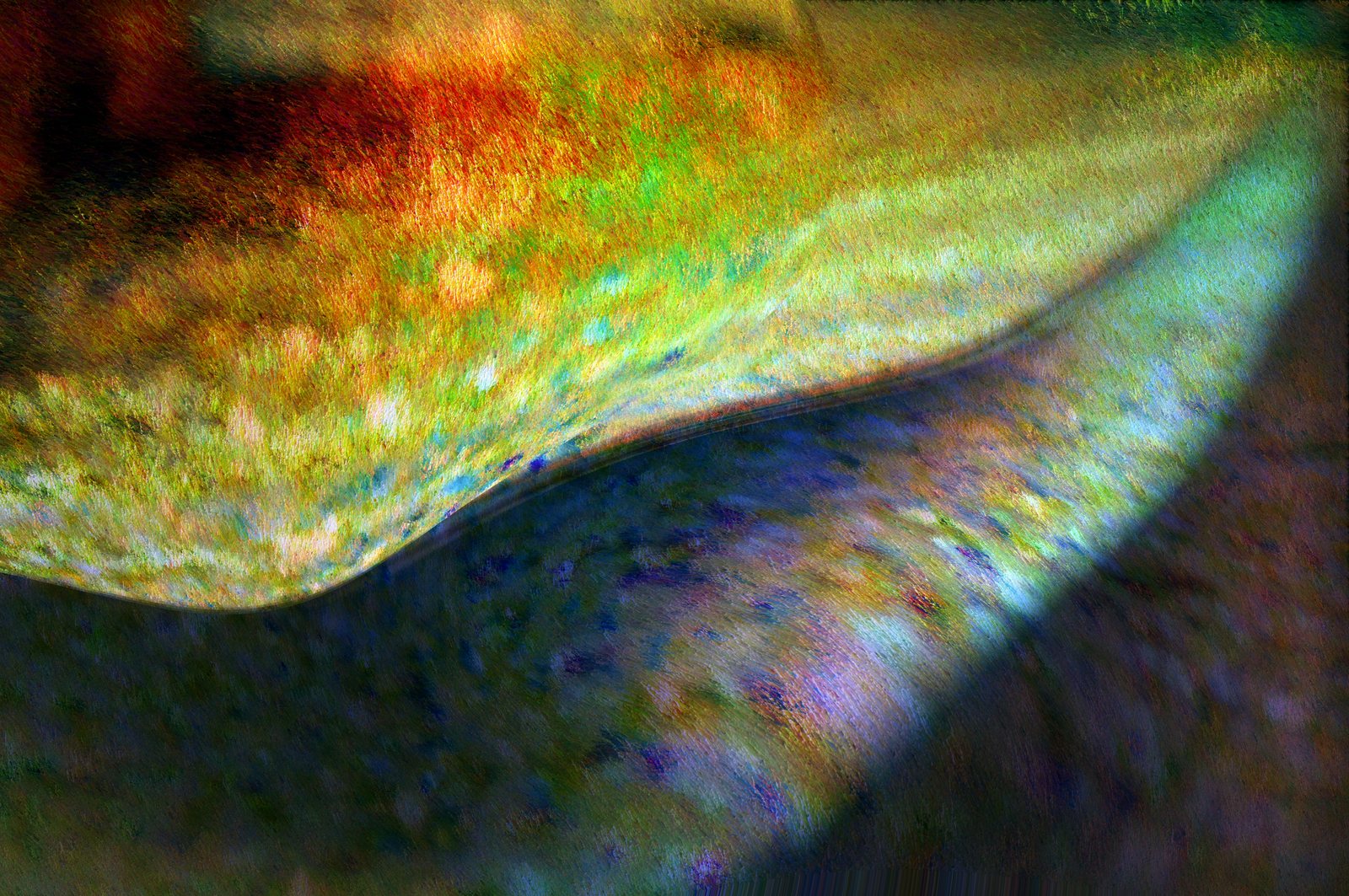 Season's Movement