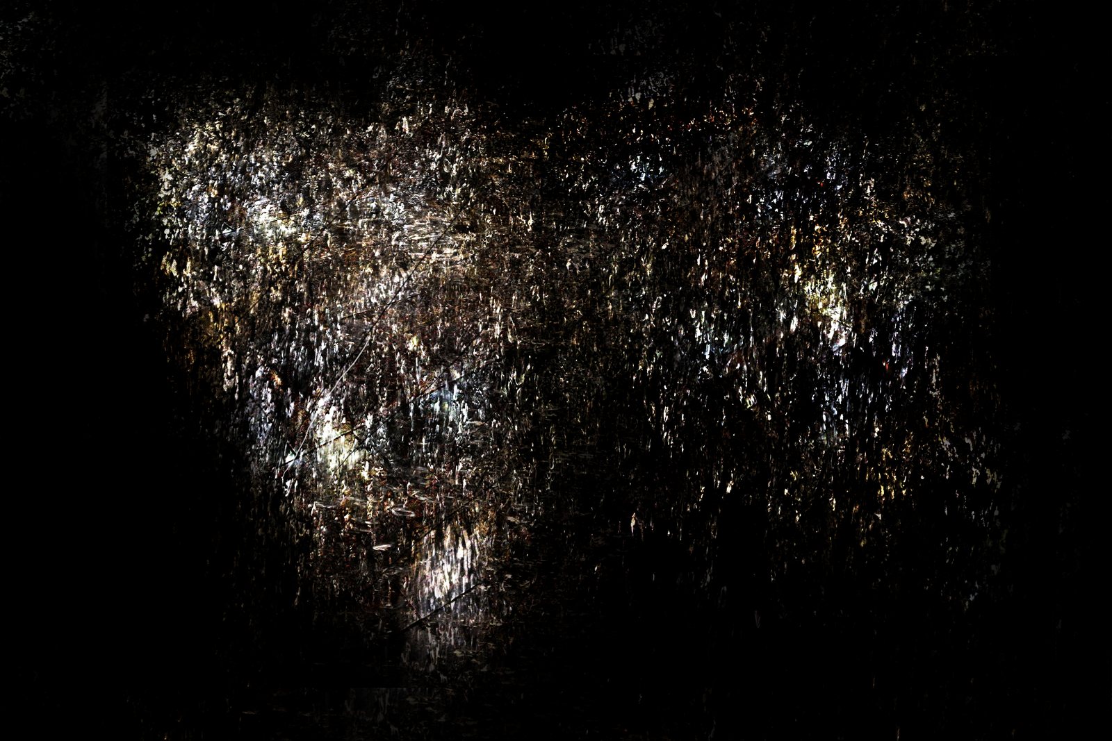 E emergence Of The Face