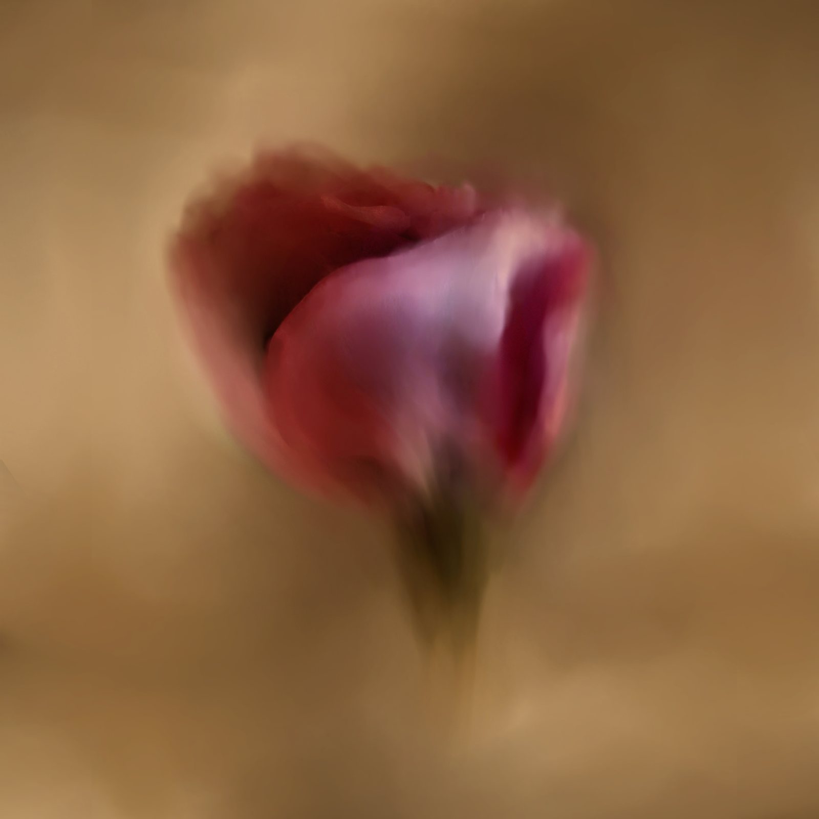 The Flower's Song