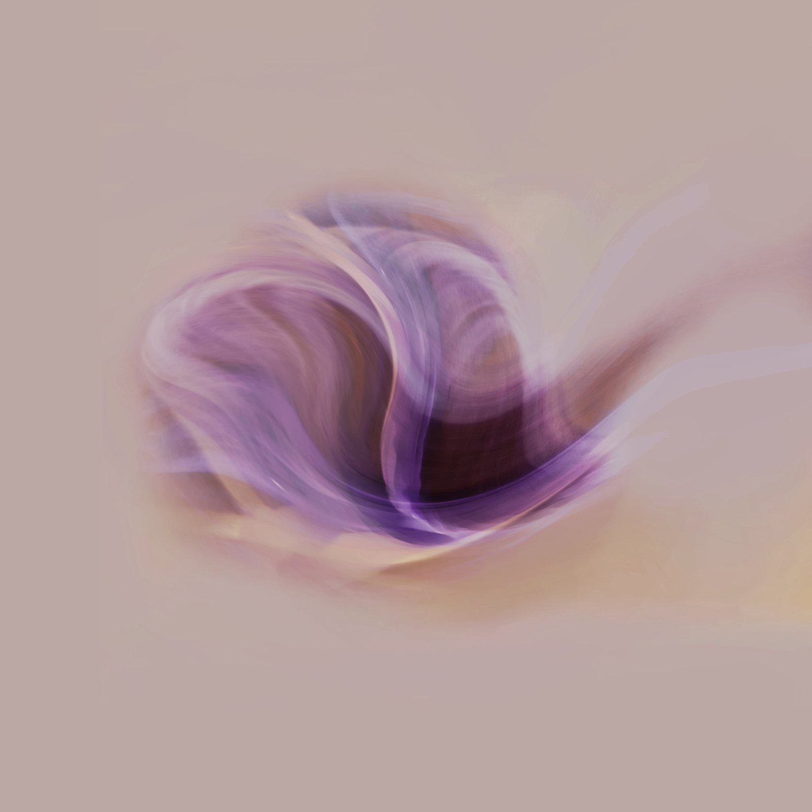 Untitled Flower