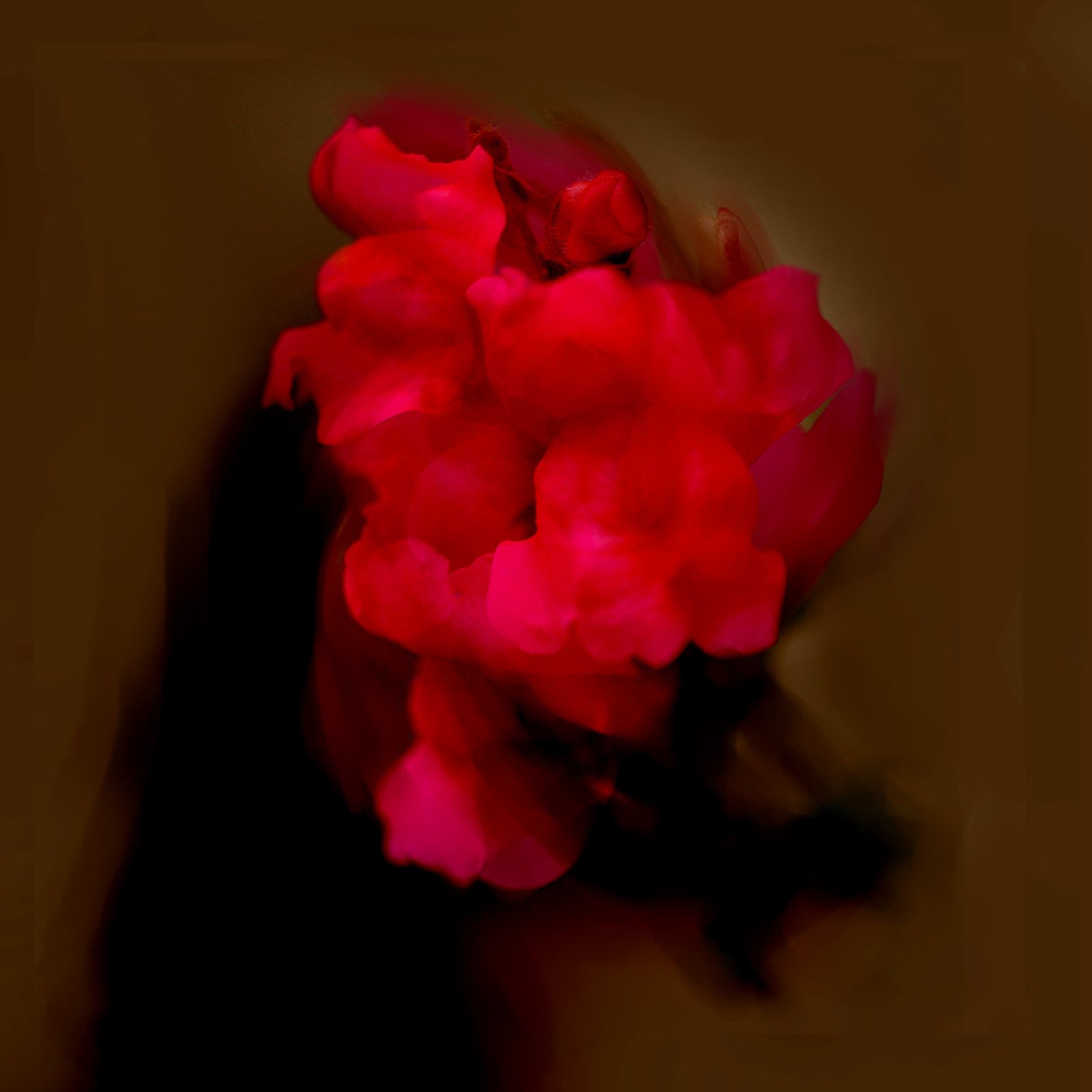 Head Flower