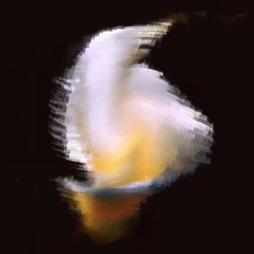the veil of the hear