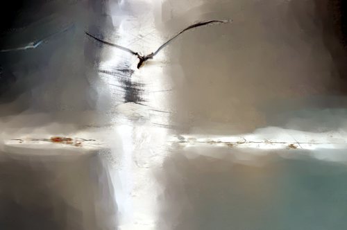 Let me Fly