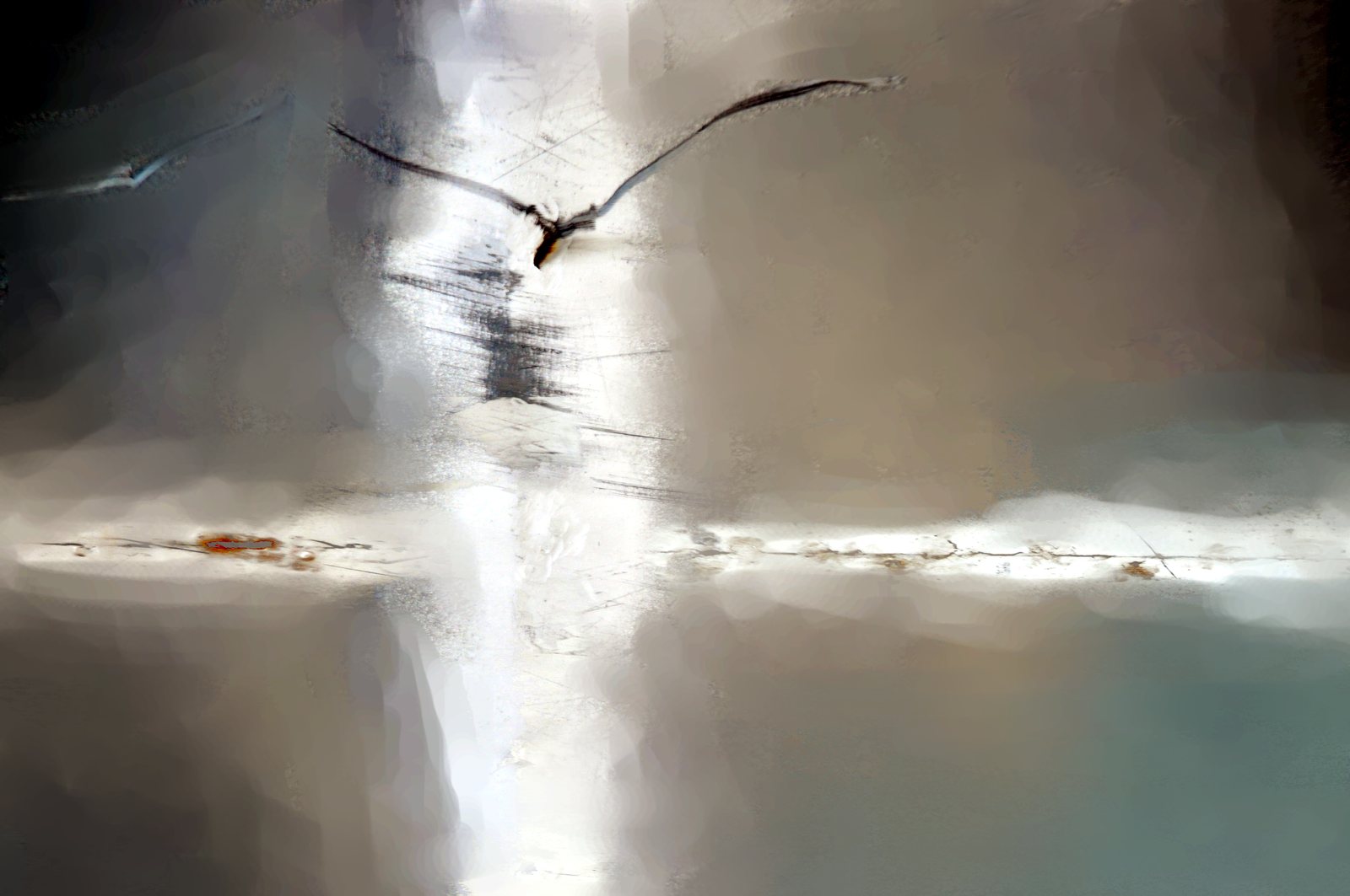 Let me Fly