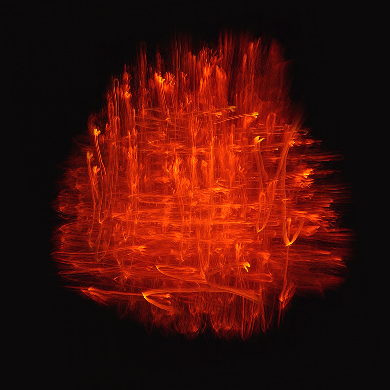 fire dance