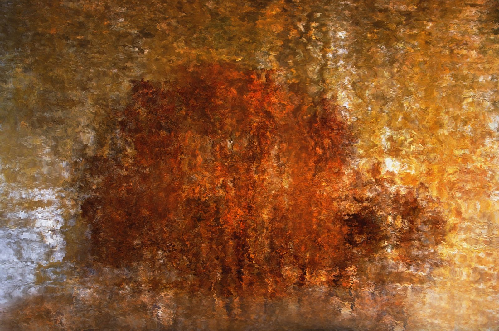 Autumn Tree Of Light