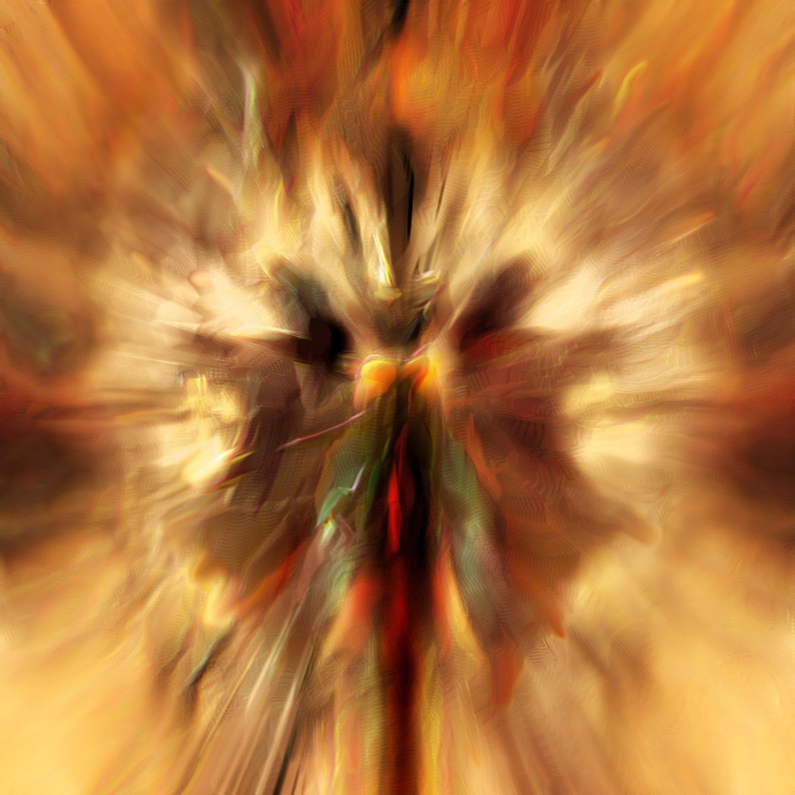 Fire Bird