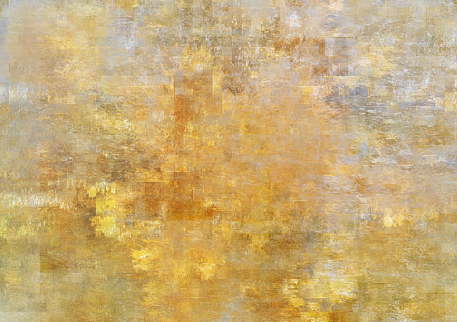 Afternoon Light