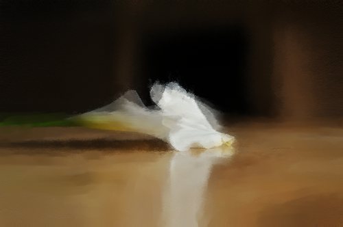 Dream Flower